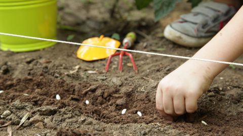 Les élèves de maternelle et primaire pourront participer à des ateliers organisés par des professionnels de la distribution© Gnis-Laurent Muratet